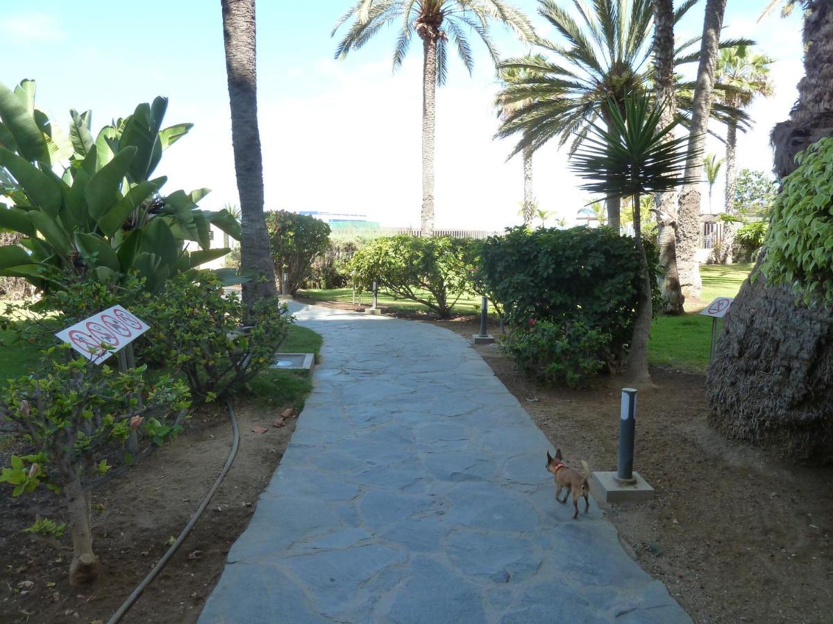 Studio In Top Lage Direkt Am Strand Arguineguin Bagian luar foto